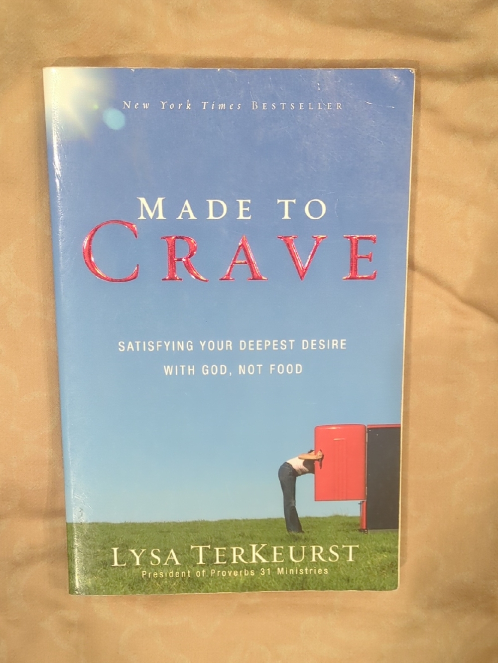 Made to Crave by Lysa TerKeurst - Blue Cover